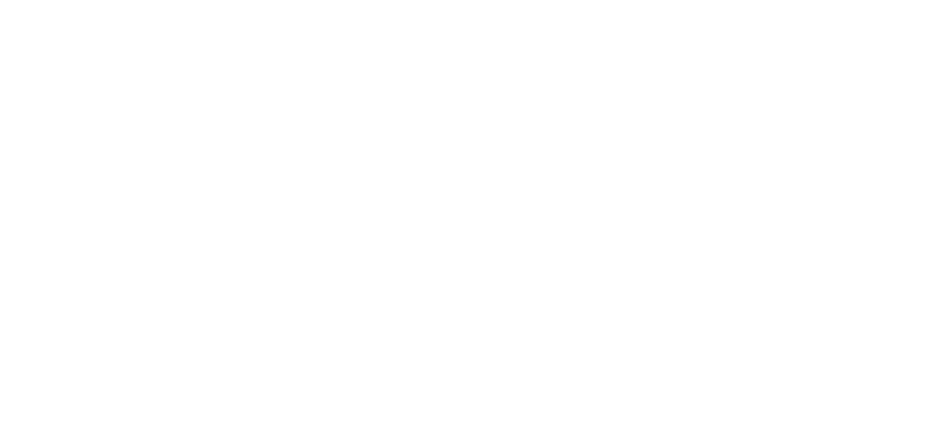 SCT logo